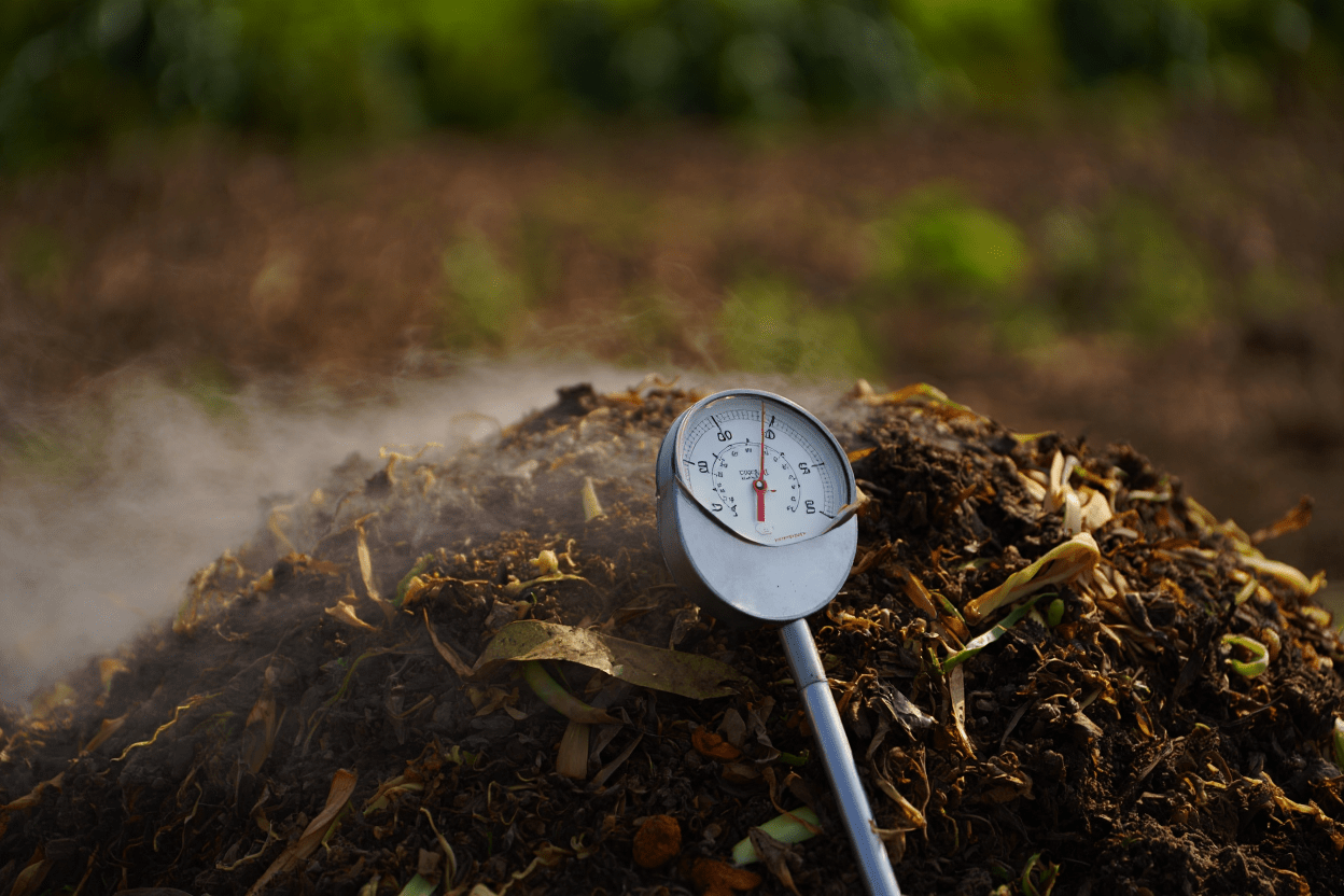 Compost thermometer used to monitor temperature in livestock waste compost piles