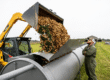 Skid steer loader unloading livestock mortality compost material into an enclosed tube composter